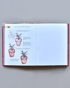Søstrene Grene Coffee Table Books^365 Days Of Drawing