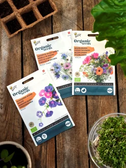 Søstrene Grene Have^Buzzy® økologisk Blanding Af Purpur-pragtsnerlefrø