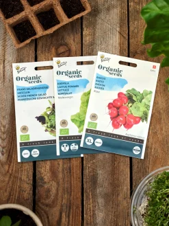 Søstrene Grene Have^Buzzy® økologisk Raxe Radisefrø