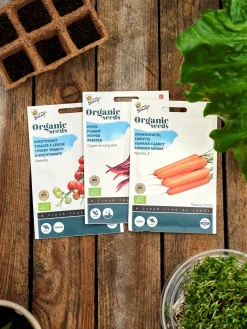 Søstrene Grene Have^Buzzy® økologiske Cherrytomatfrø