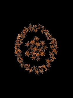 Søstrene Grene Julepynt|Dekoration^Dekorative Anisfrø