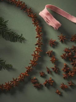 Søstrene Grene Julepynt|Dekoration^Dekorative Anisfrø