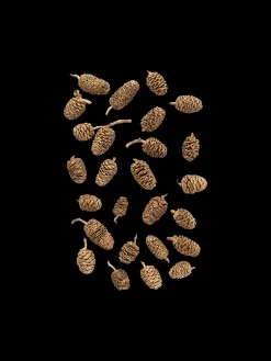 Søstrene Grene Julepynt|Dekoration^Dekorative Kogler