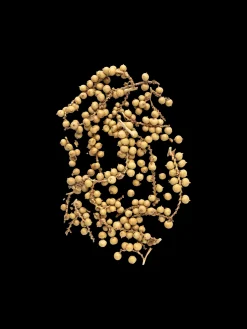 Søstrene Grene Julepynt|Dekoration^Dekorative Peberfrugter