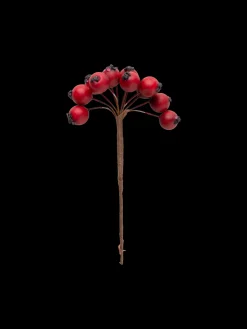 Søstrene Grene Julepynt|Dekoration^Dekorative Røde Bær