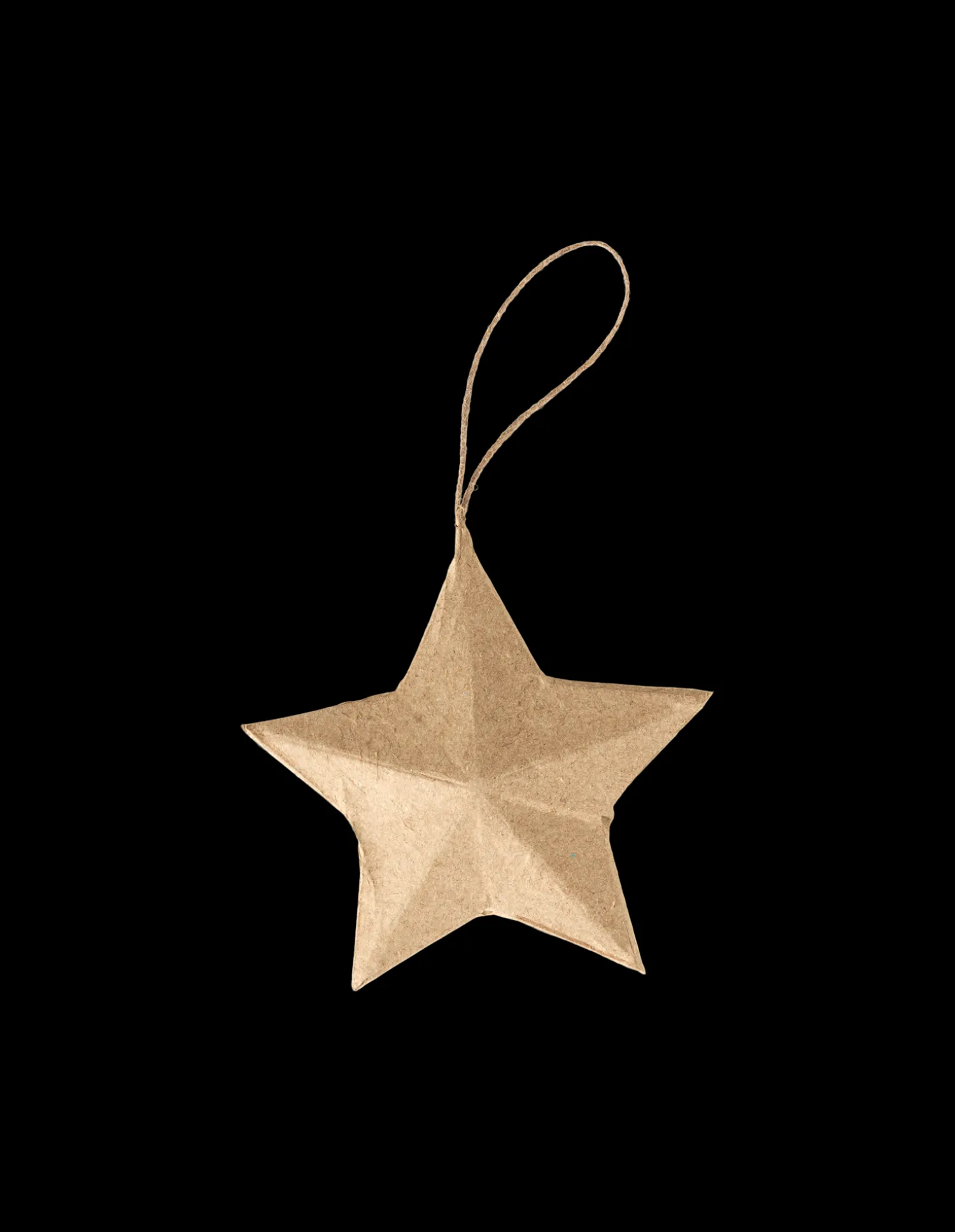 Søstrene Grene JuletræsPynt|Dekoration^DIY-stjernedekoration