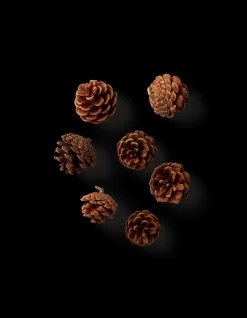 Søstrene Grene Julepynt|Dekoration^Fyrrekogler