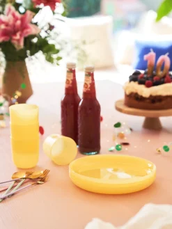 Søstrene Grene Bord­Dækning^Genanvendelige Plasttallerkner Til Børn