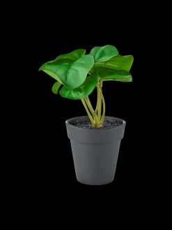 Søstrene Grene Dekoration^Kunstig Blomst I Potte