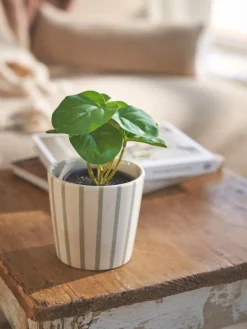 Søstrene Grene Dekoration^Kunstig Blomst I Potte