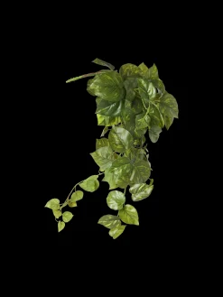 Søstrene Grene Dekoration^Kunstig Guldranke