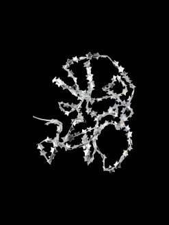 Søstrene Grene Julepynt|Lamper^LED-stjernelyskæde