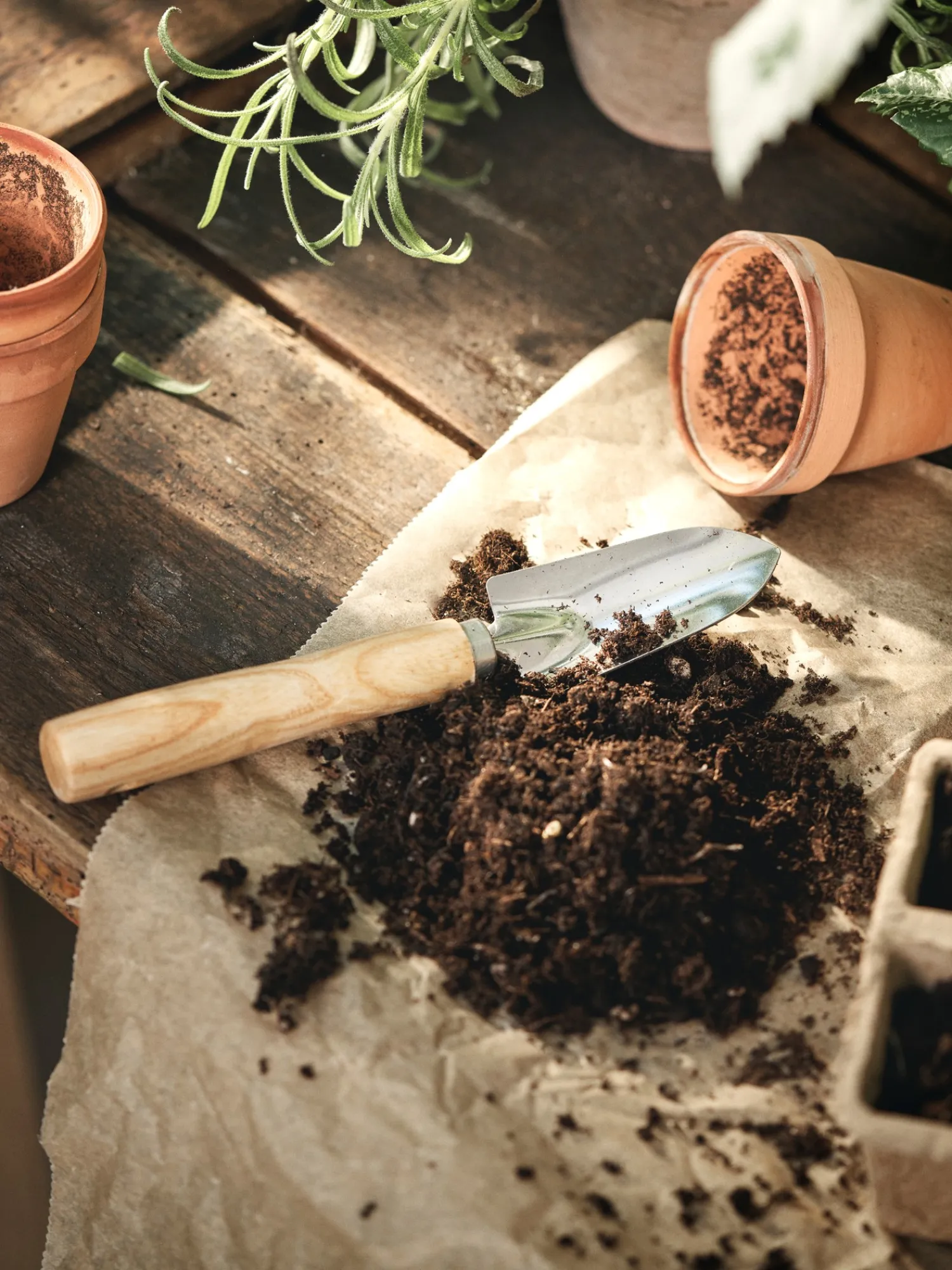 Søstrene Grene Have^Miniskovl