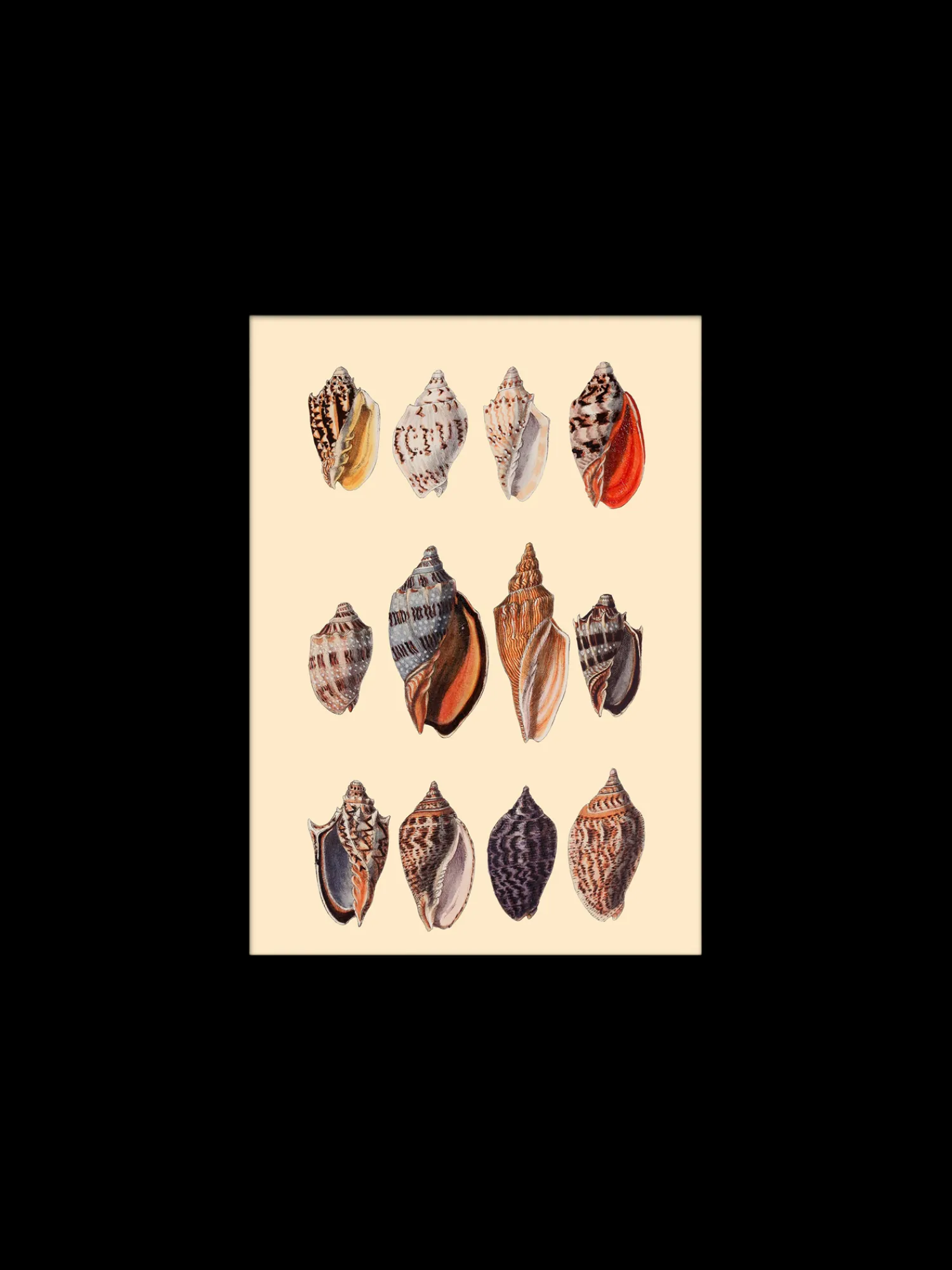 Søstrene Grene Rammer Og Plakater^Plakat 15 X 21