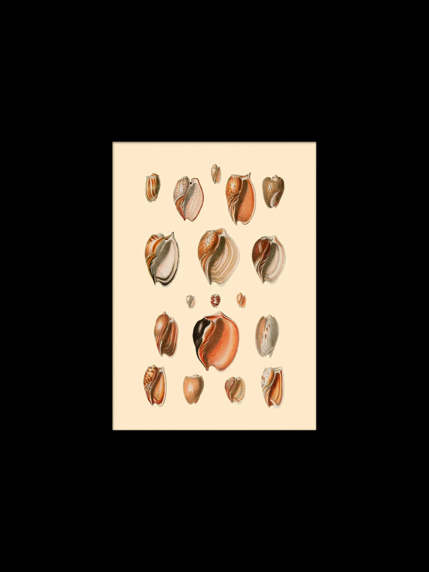 Søstrene Grene Rammer Og Plakater^Plakat 15 X 21