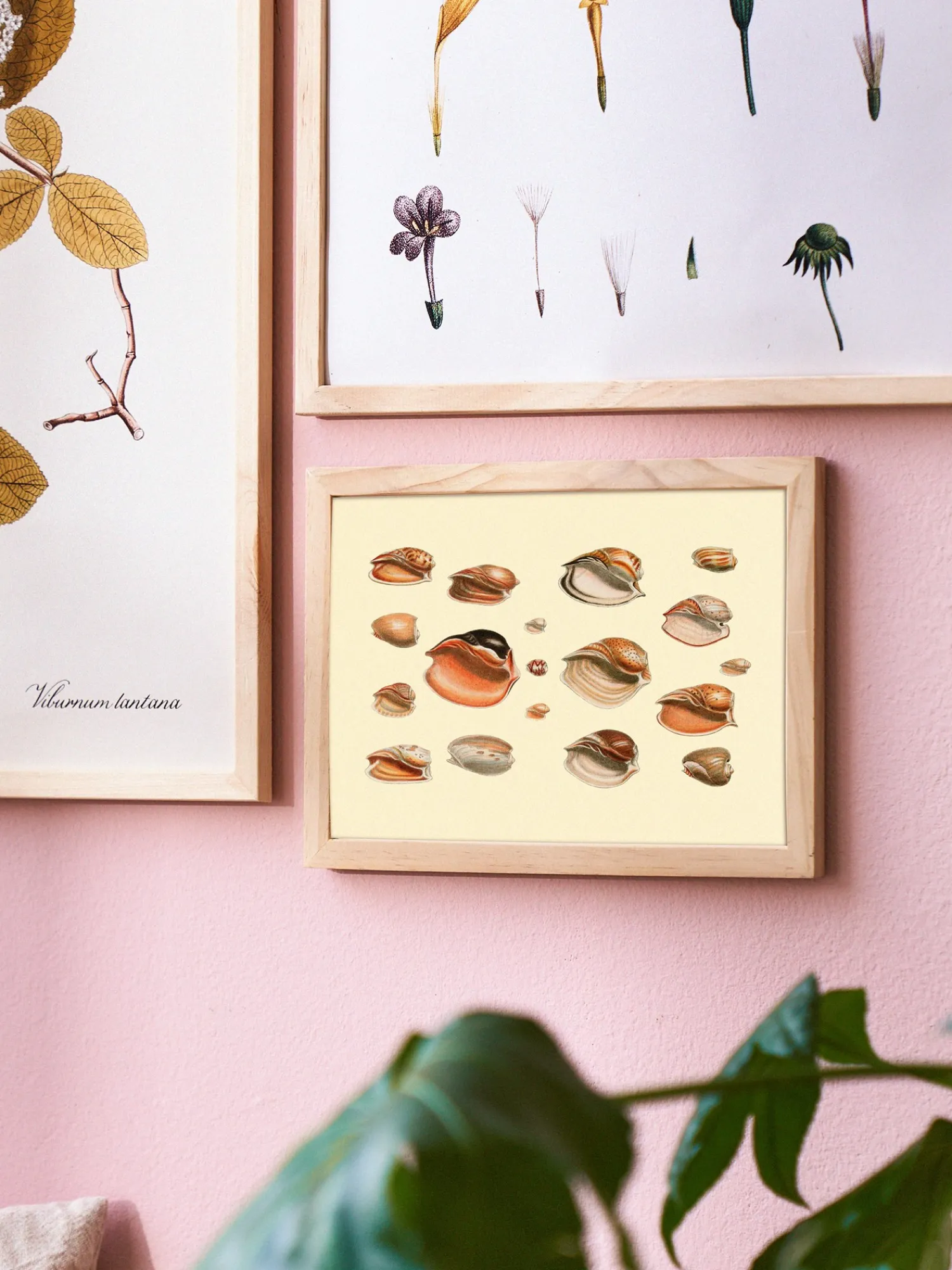 Søstrene Grene Rammer Og Plakater^Plakat 15 X 21