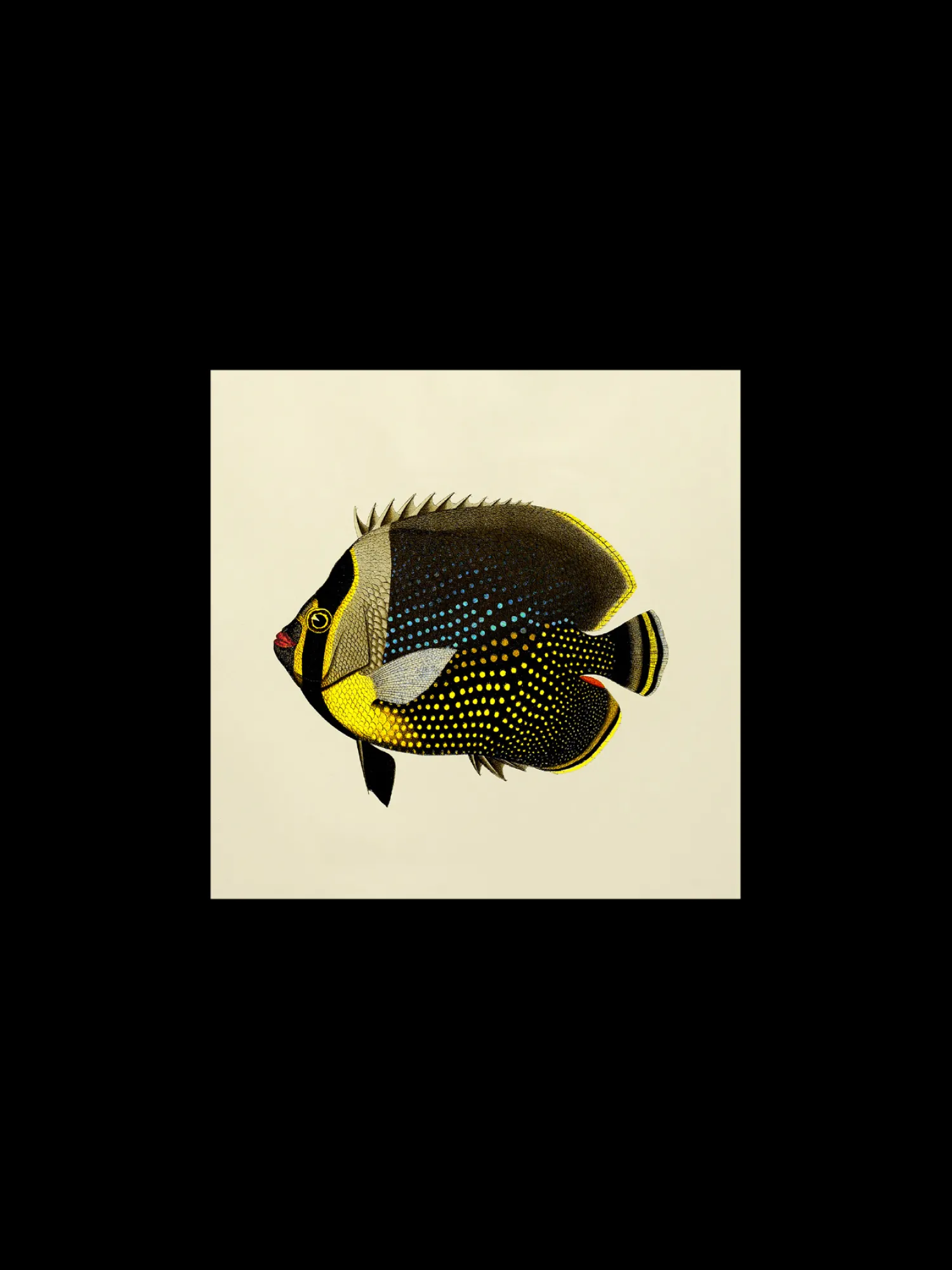 Søstrene Grene Rammer Og Plakater^Plakat 24 X 24