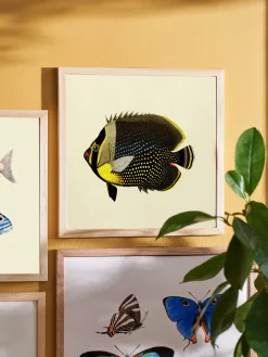 Søstrene Grene Rammer Og Plakater^Plakat 24 X 24