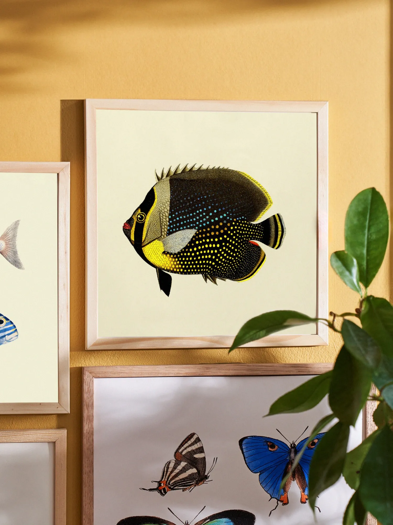 Søstrene Grene Rammer Og Plakater^Plakat 24 X 24