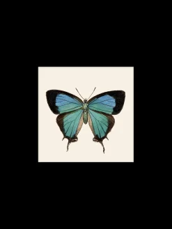 Søstrene Grene Rammer Og Plakater^Plakat 24 X 24