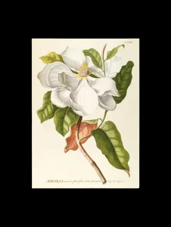 Søstrene Grene Rammer Og Plakater^Plakat 50 X 70