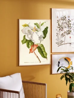 Søstrene Grene Rammer Og Plakater^Plakat 50 X 70