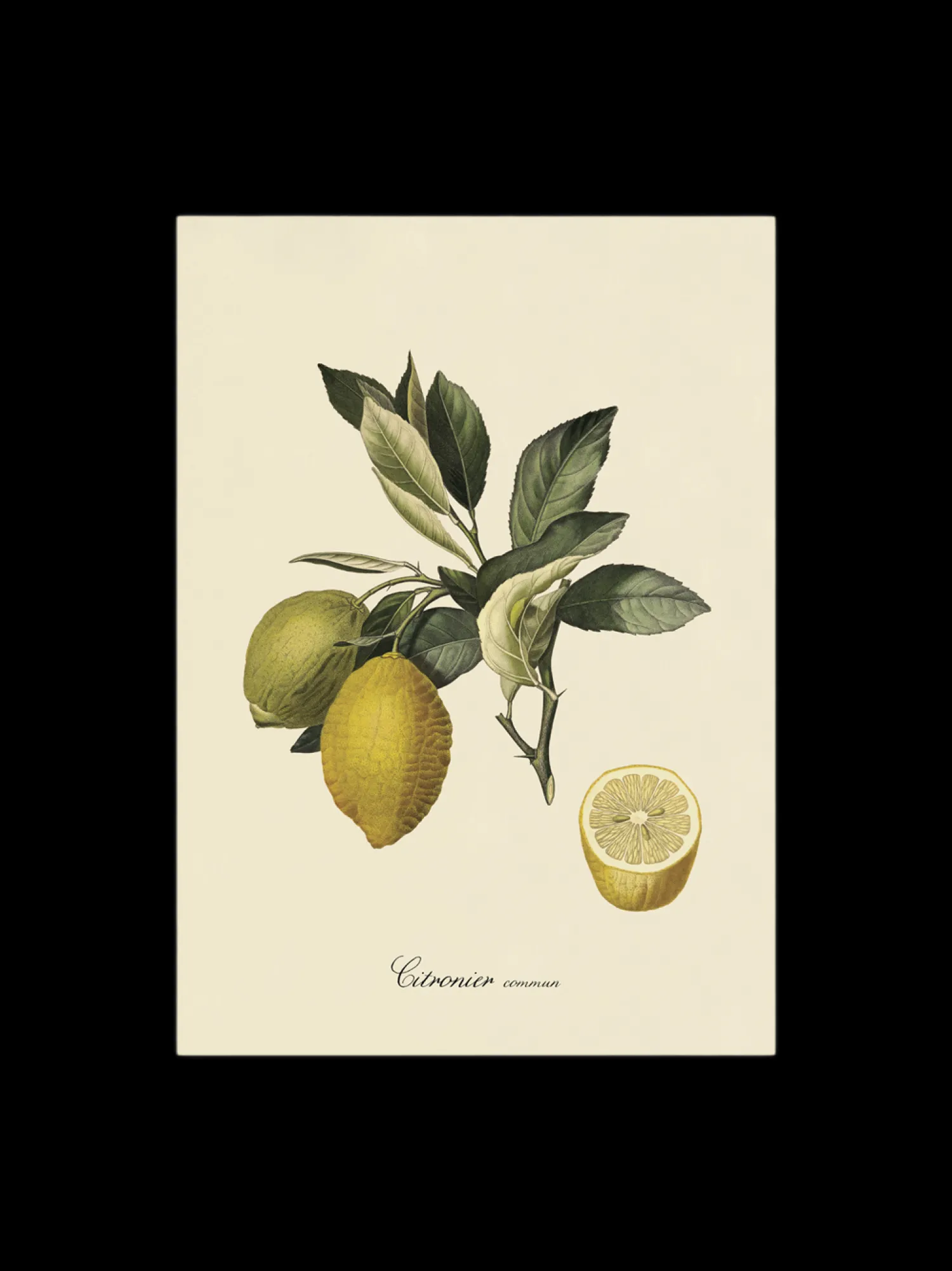 Søstrene Grene Rammer Og Plakater^Plakat 50 X 70