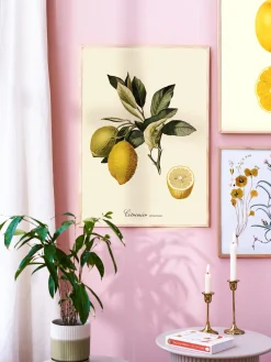 Søstrene Grene Rammer Og Plakater^Plakat 50 X 70