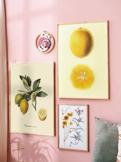 Søstrene Grene Rammer Og Plakater^Plakat 50 X 70