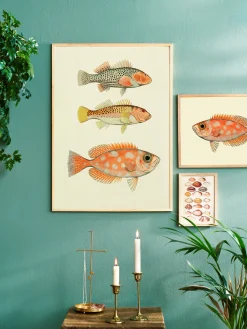 Søstrene Grene Rammer Og Plakater^Plakat 50 X 70