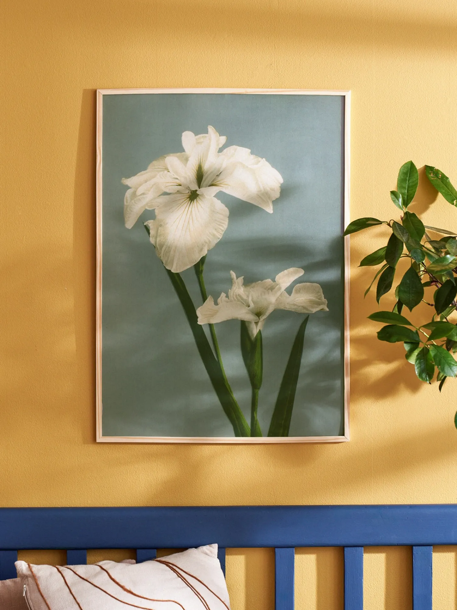 Søstrene Grene Rammer Og Plakater^Plakat 50 X 70