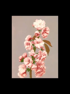 Søstrene Grene Rammer Og Plakater^Plakat 50 X 70