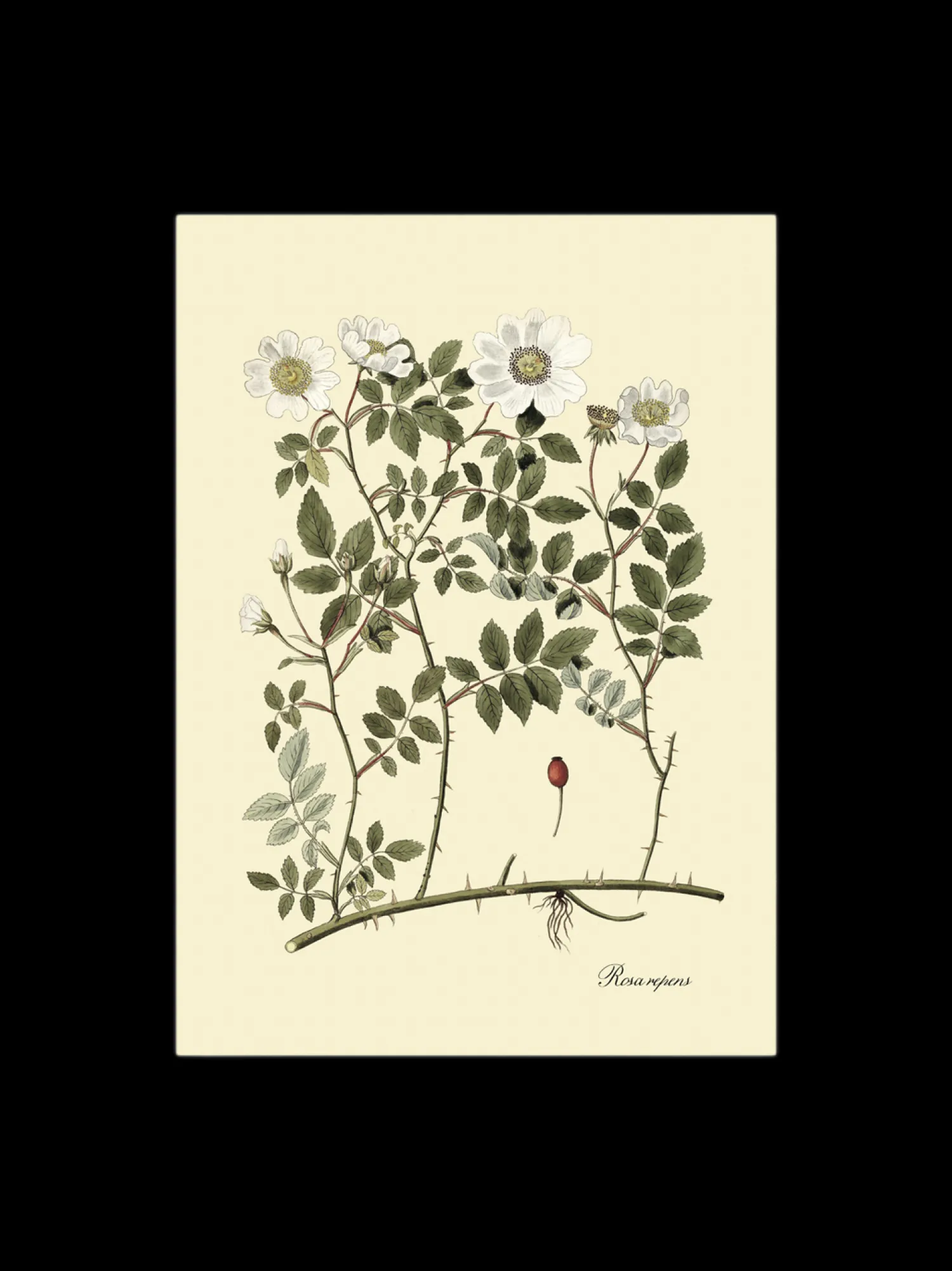 Søstrene Grene Rammer Og Plakater^Plakat 50 X 70