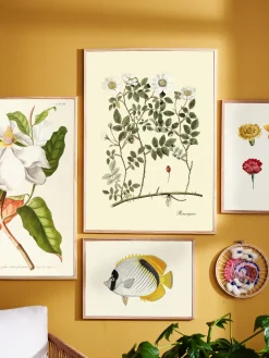 Søstrene Grene Rammer Og Plakater^Plakat 50 X 70