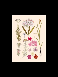 Søstrene Grene Rammer Og Plakater^Plakat A3