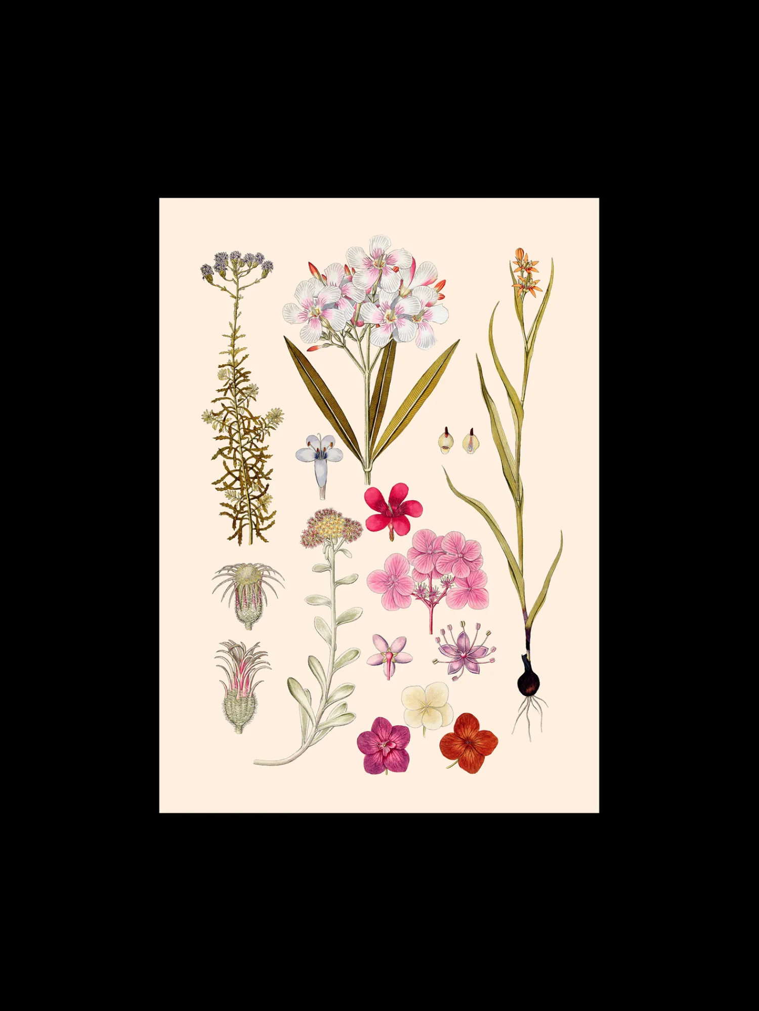 Søstrene Grene Rammer Og Plakater^Plakat A3