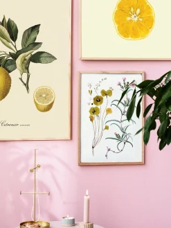 Søstrene Grene Rammer Og Plakater^Plakat A3