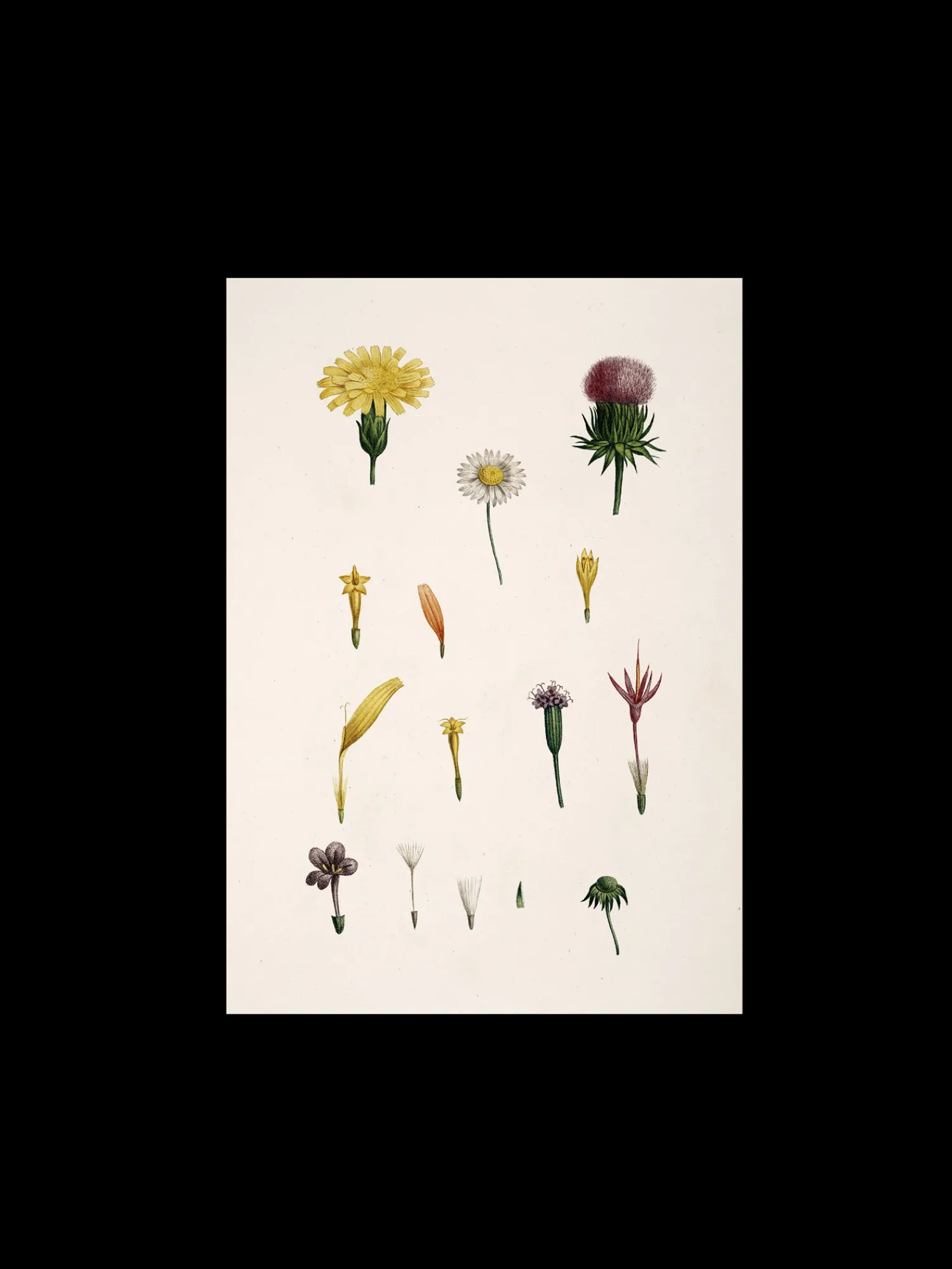 Søstrene Grene Rammer Og Plakater^Plakat A3