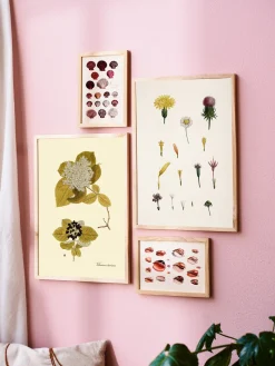 Søstrene Grene Rammer Og Plakater^Plakat A3