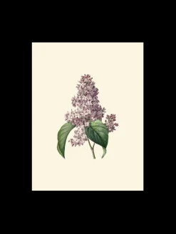 Søstrene Grene Rammer Og Plakater^Plakat A3