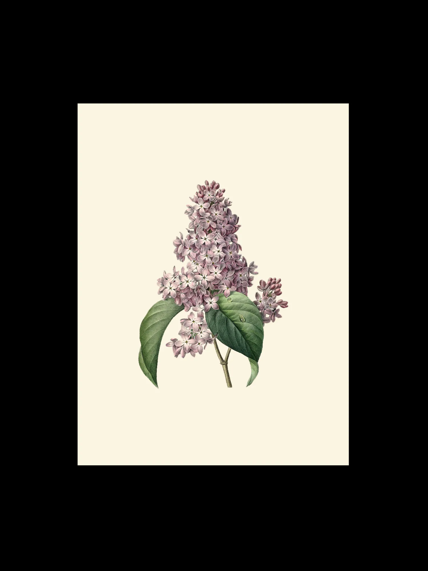 Søstrene Grene Rammer Og Plakater^Plakat A3