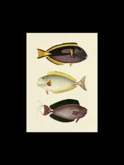 Søstrene Grene Rammer Og Plakater^Plakat A3