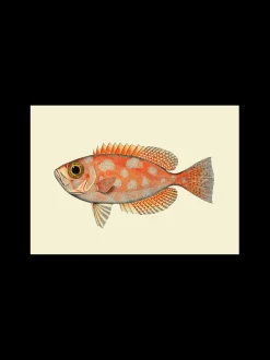 Søstrene Grene Rammer Og Plakater^Plakat A3