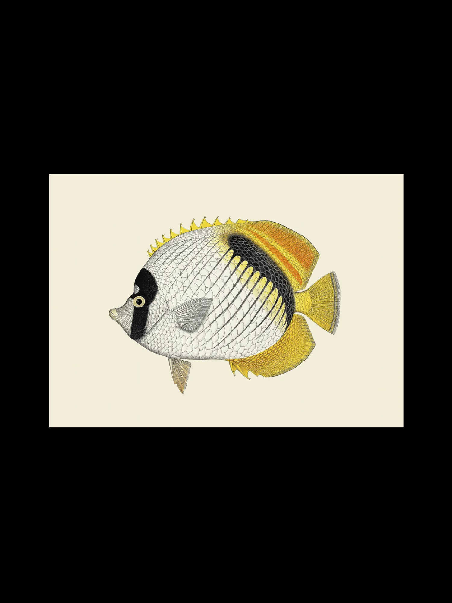 Søstrene Grene Rammer Og Plakater^Plakat A3