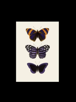 Søstrene Grene Rammer Og Plakater^Plakat A3