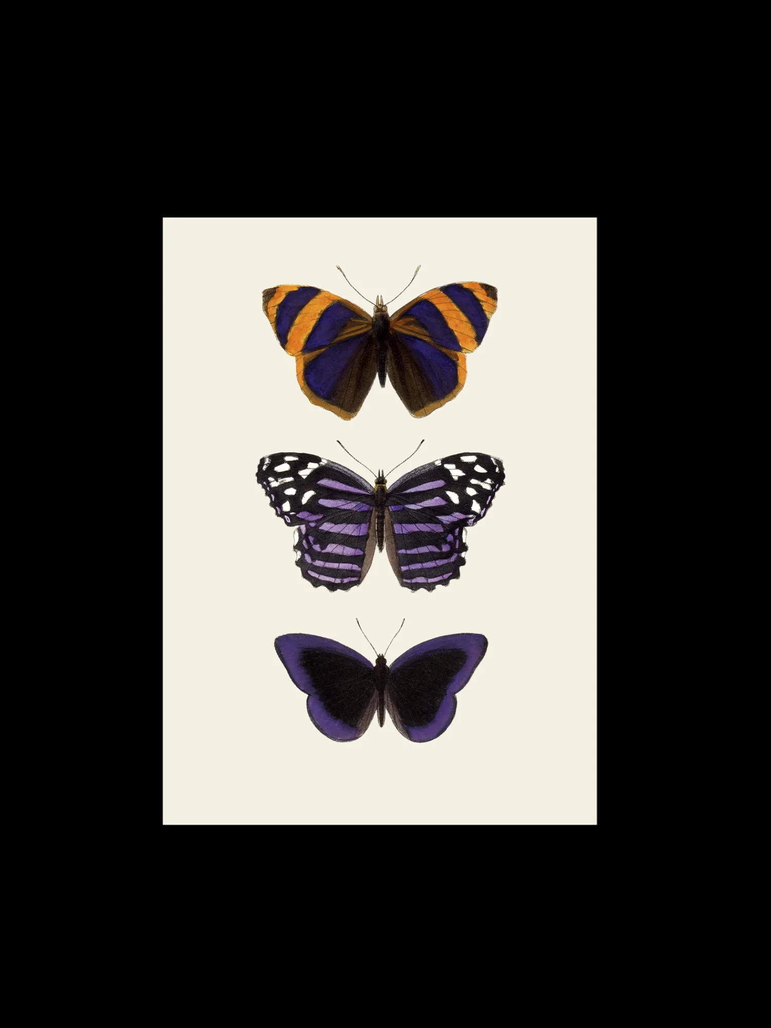 Søstrene Grene Rammer Og Plakater^Plakat A3