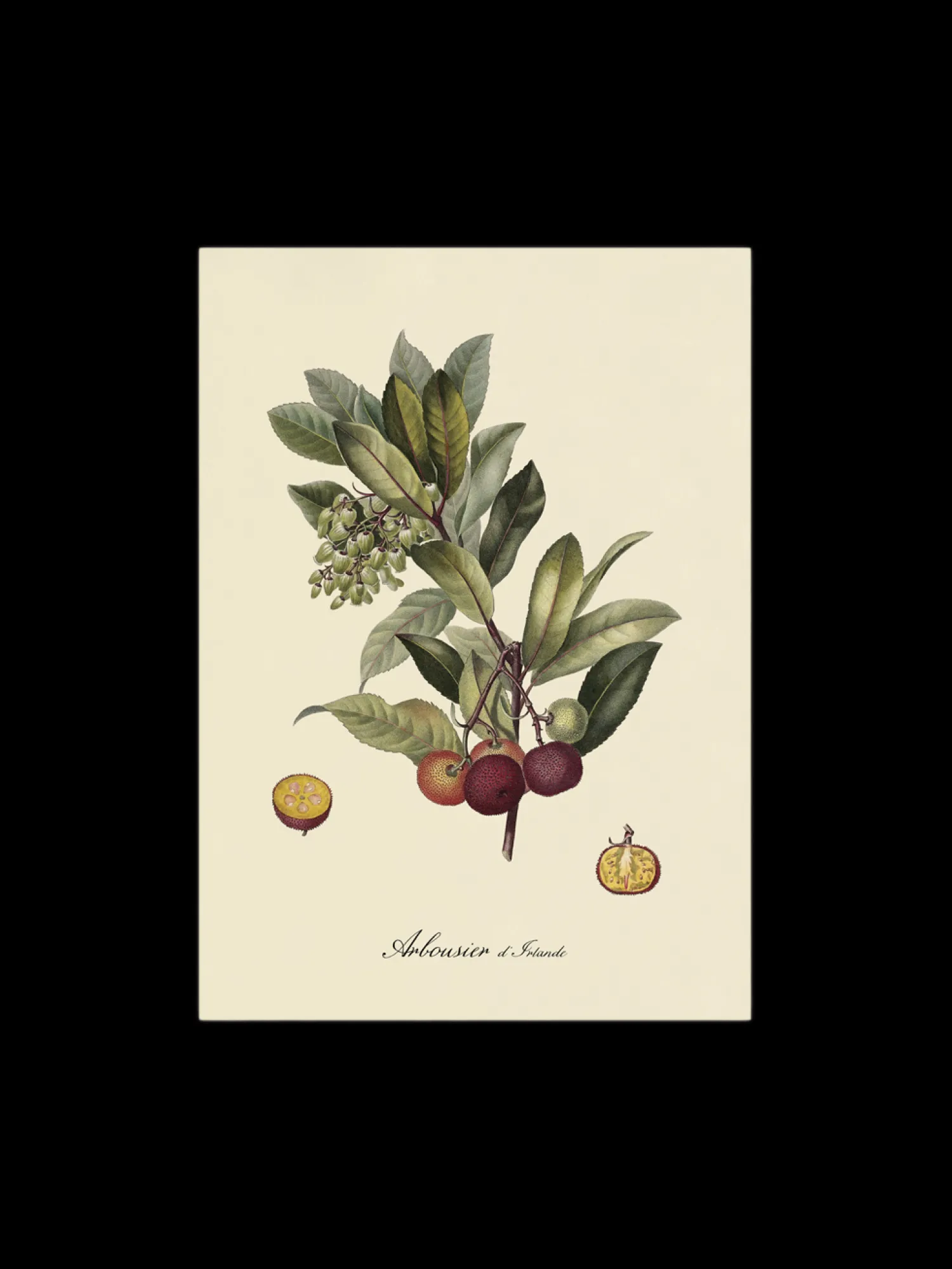 Søstrene Grene Rammer Og Plakater^Plakat A3