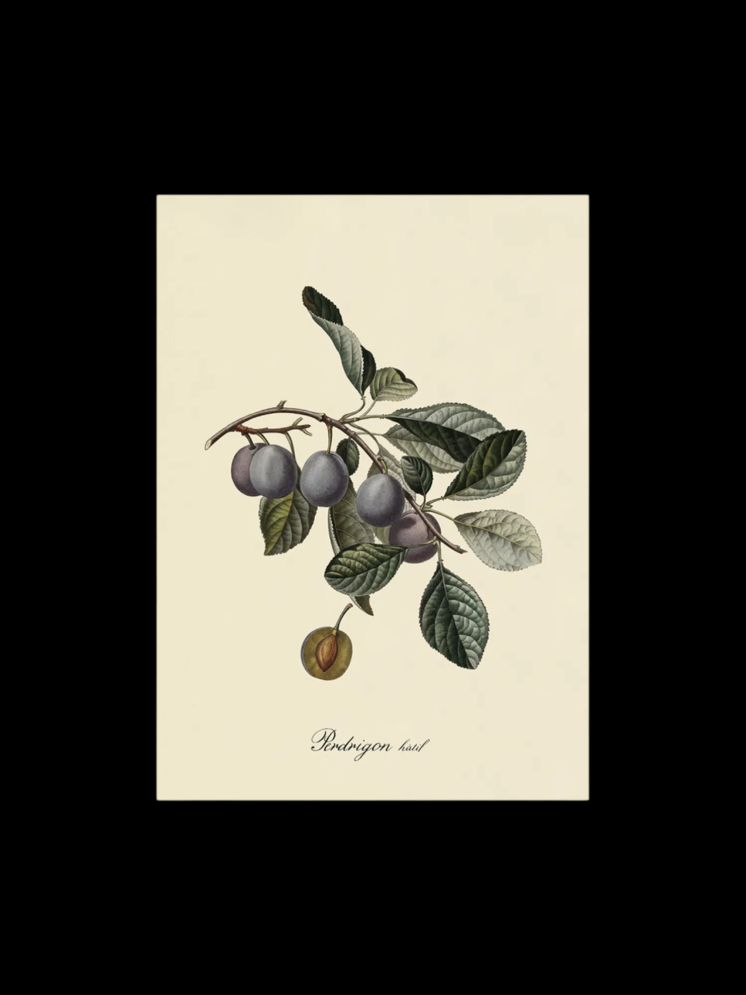 Søstrene Grene Rammer Og Plakater^Plakat A3