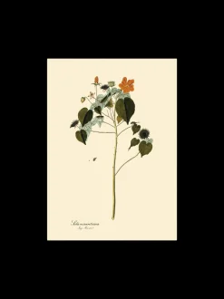 Søstrene Grene Rammer Og Plakater^Plakat A3