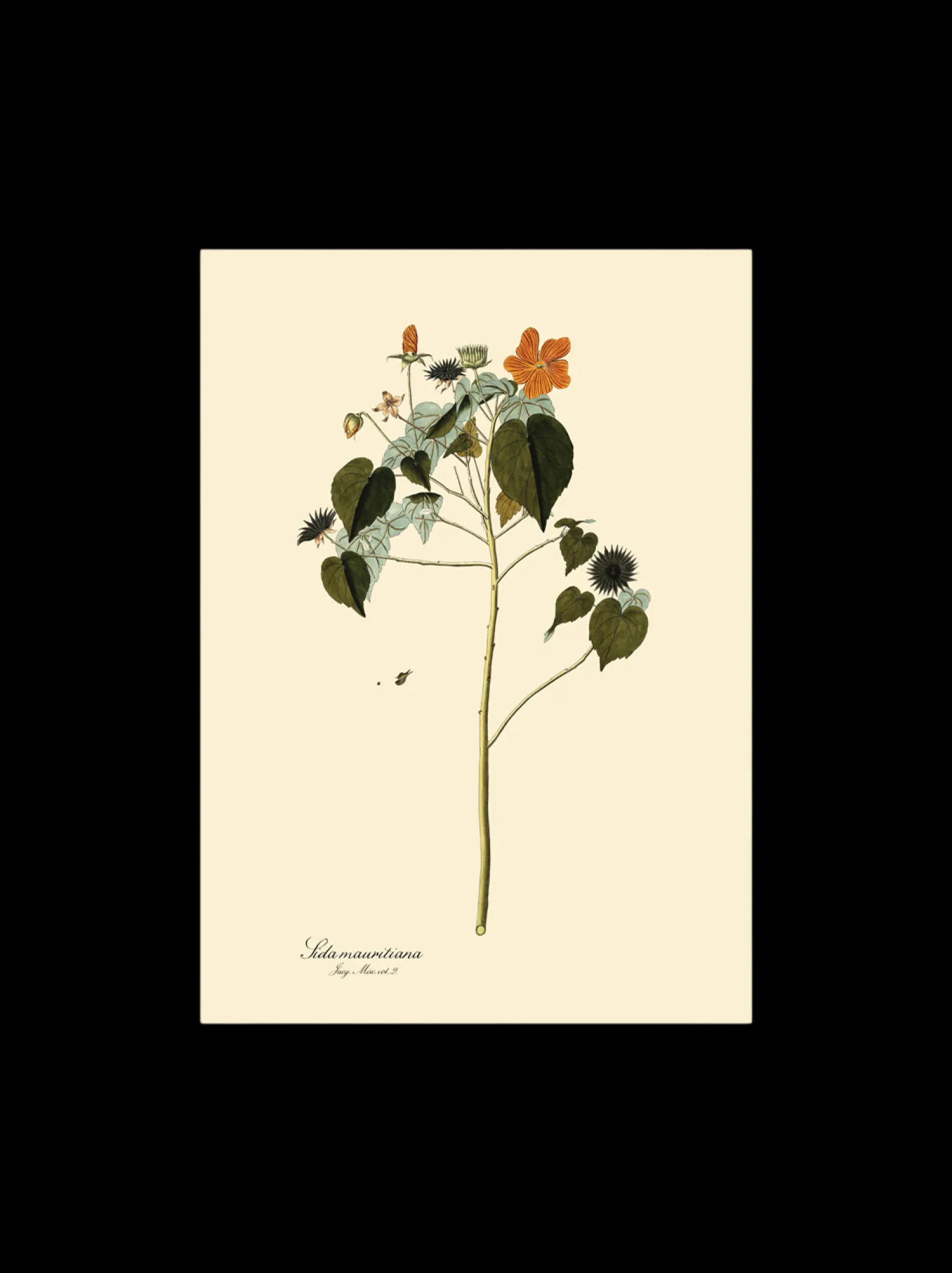 Søstrene Grene Rammer Og Plakater^Plakat A3